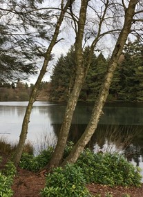 Crombie Country Park