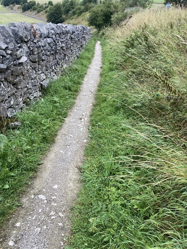 Image of a path
