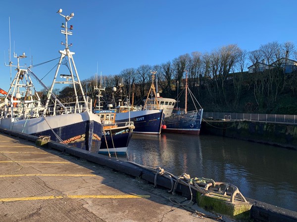 Harbour