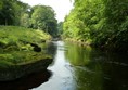 Picture of Strid Wood and the Strid