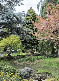 Dr Neil's Garden