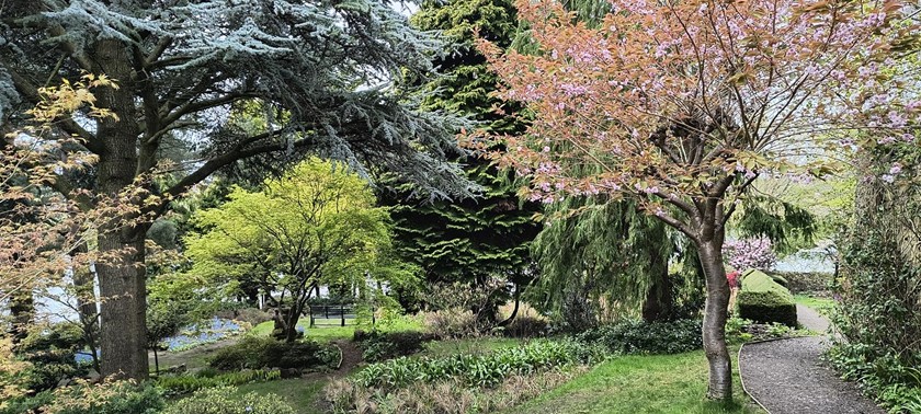Dr Neil's Garden
