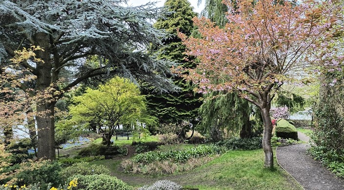Dr Neil's Garden