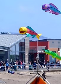 Newbiggin Maritime Centre