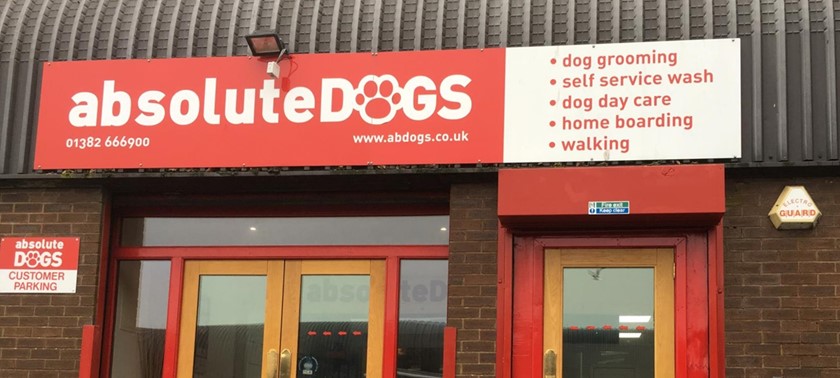 Absolute Dogs