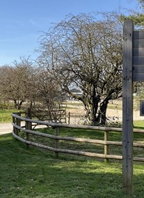 Cotswold Farm Park