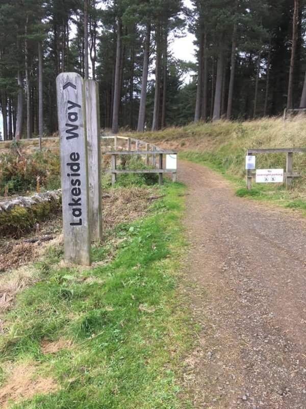 Picture of Kielder Water and Forest Park