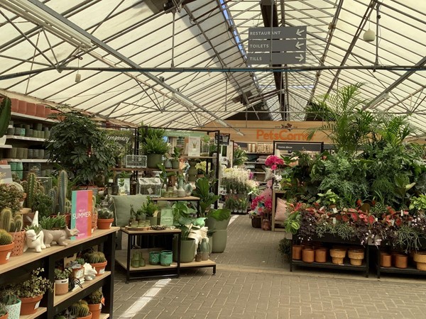 Picture of Dobbies Garden Centre Aylesbury