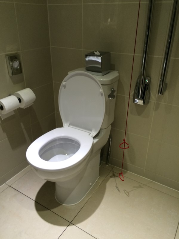 Public Accessible Toilet