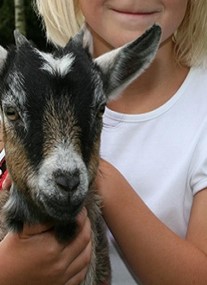 Longdown Activity Farm