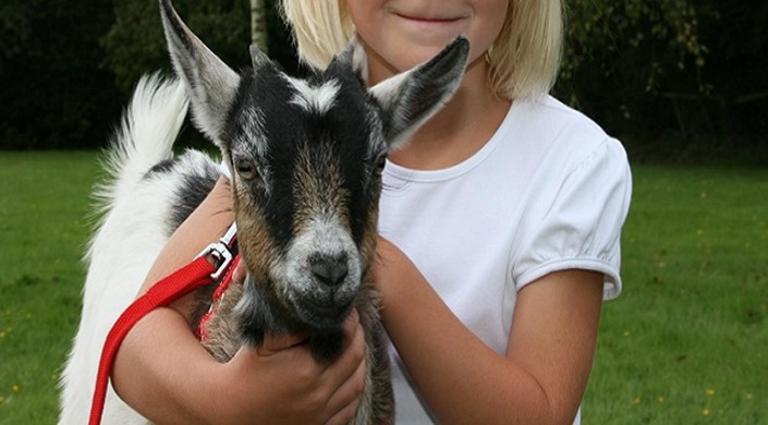 Longdown Activity Farm