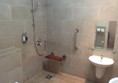 Shower and lower level basin