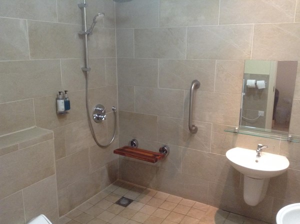 Shower and lower level basin