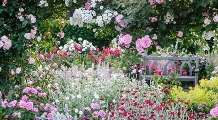 RHS Garden Rosemoor