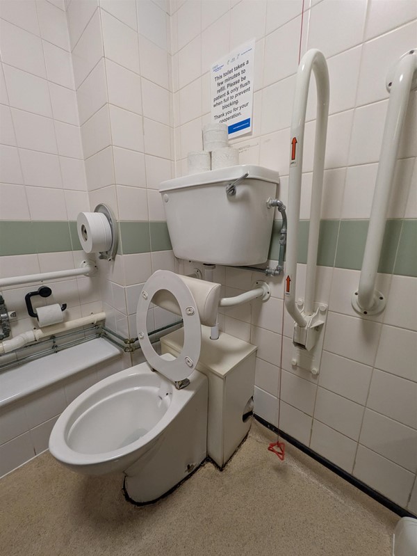 image of  toilet seat in the accessible toilet