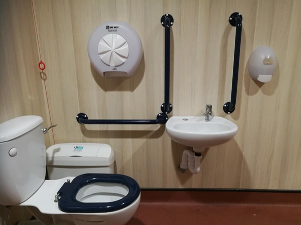 so called award winning disabled loo, cord not accessible if you fall, and loo flush broken and on wrong side