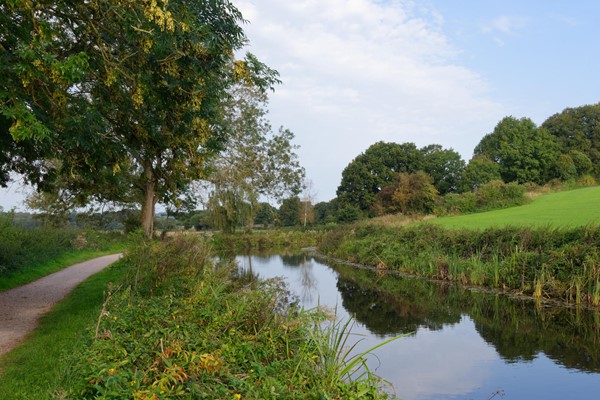 Picture of Grand Western Canal Country Park