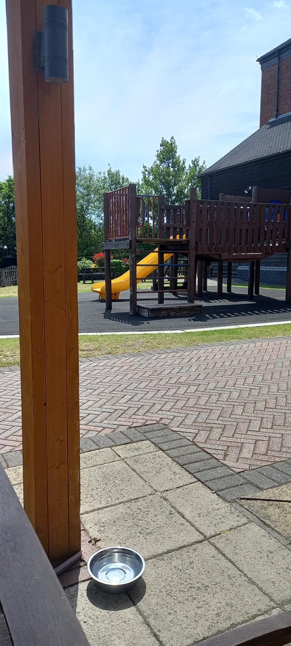 Children's play area