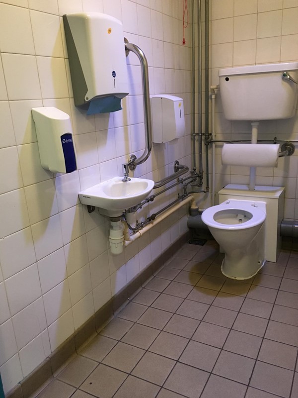 The accessible toilet