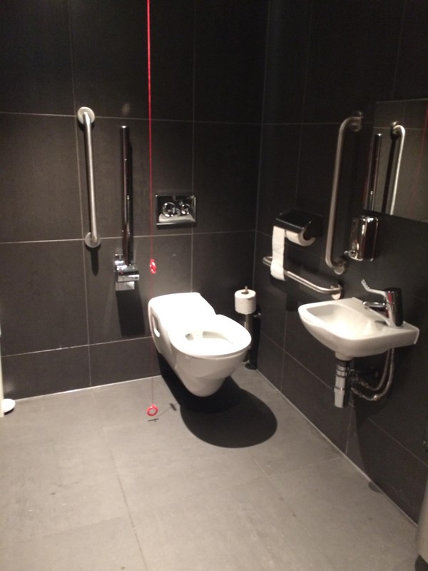 The accessible loo.