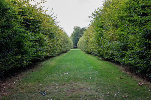 Grass path through the middle of the gardens.