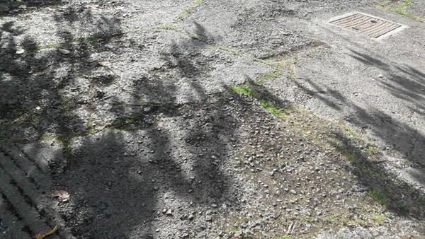 Surface of courtyard outside studio.