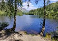 A  lake and trees, with a mountain in the background