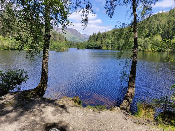 A  lake and trees, with a mountain in the background