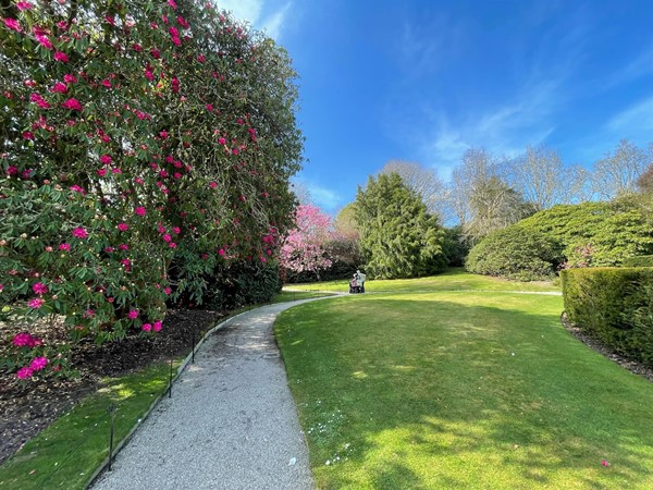 Another image of the gardens