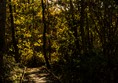 Big Waters nature reserve access