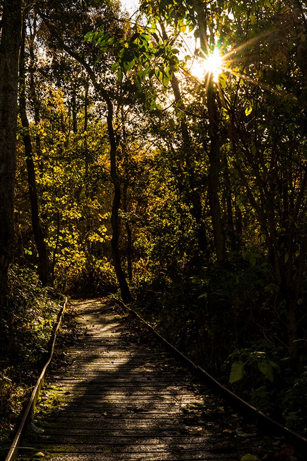 Big Waters nature reserve access