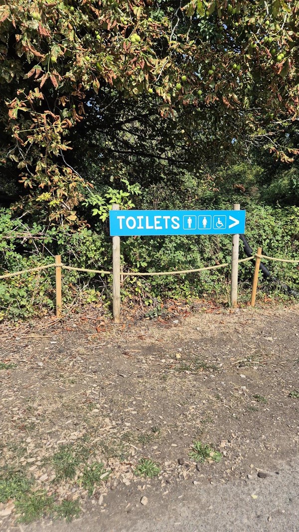 Image of a toilet sign.