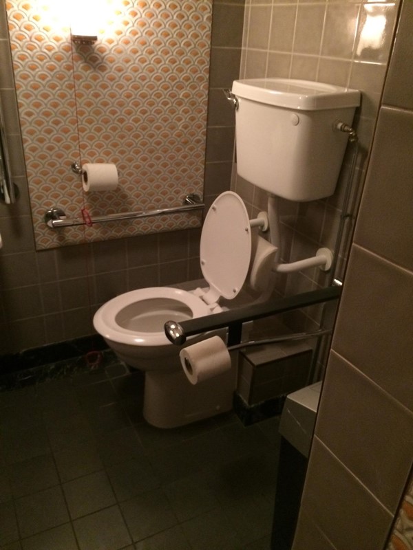 Accessible toilet view 2