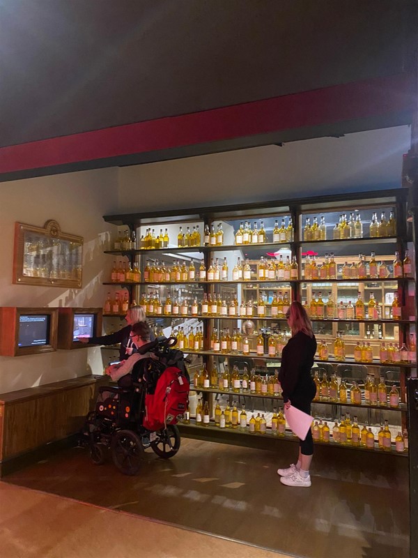 Image of a cabinet full of whisky