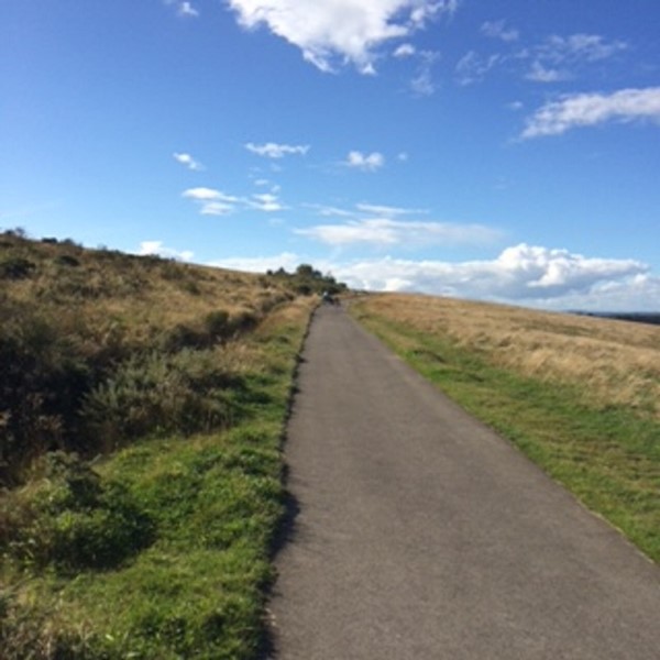 Picture of Weetslade Country Park, Wideopen