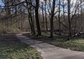 Picture of Scheveningen Woods