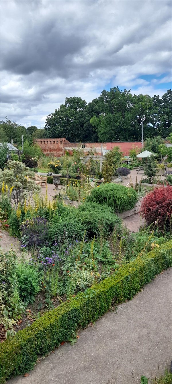 Image of a garden