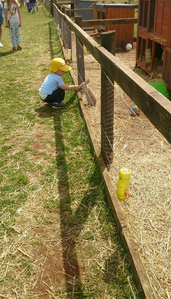 Picture of Fairytale Farm - Chipping Norton - Fence