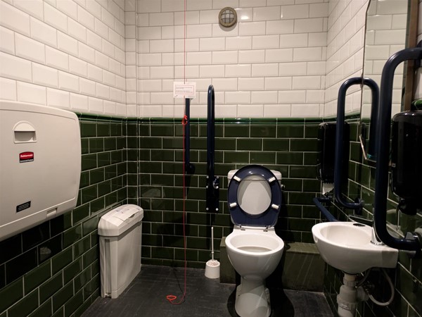 Image of accessible toilet, walls are tiled halfway with green tiles and the remainder in white. The toilet furniture is white, with contrasting blue rails and a blue toilet seat
