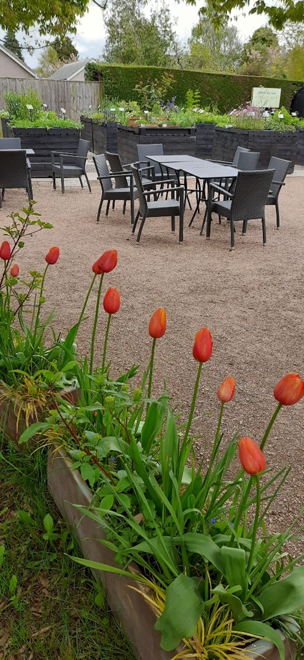 Outdoor seating area