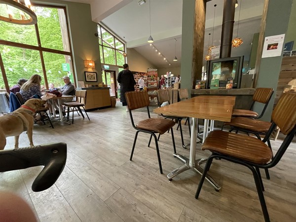 Cafe