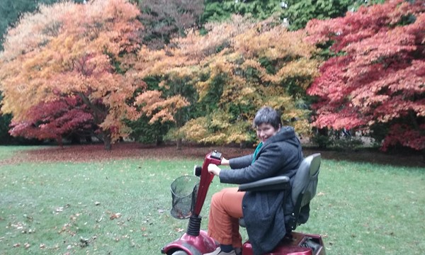 Autumn colours at Thorp Perrow