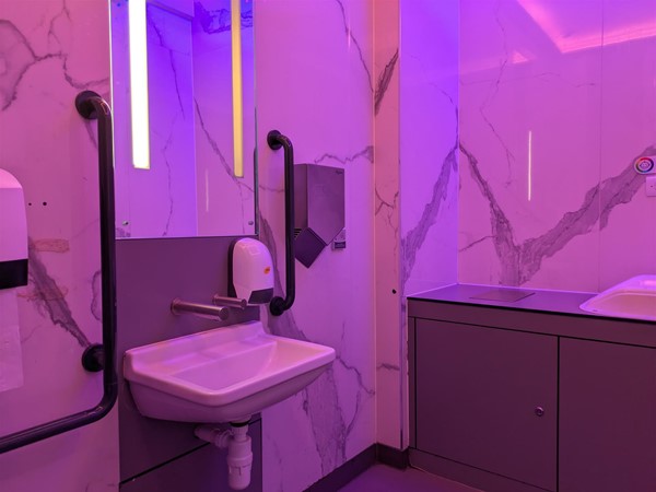 Image of accessible toilet