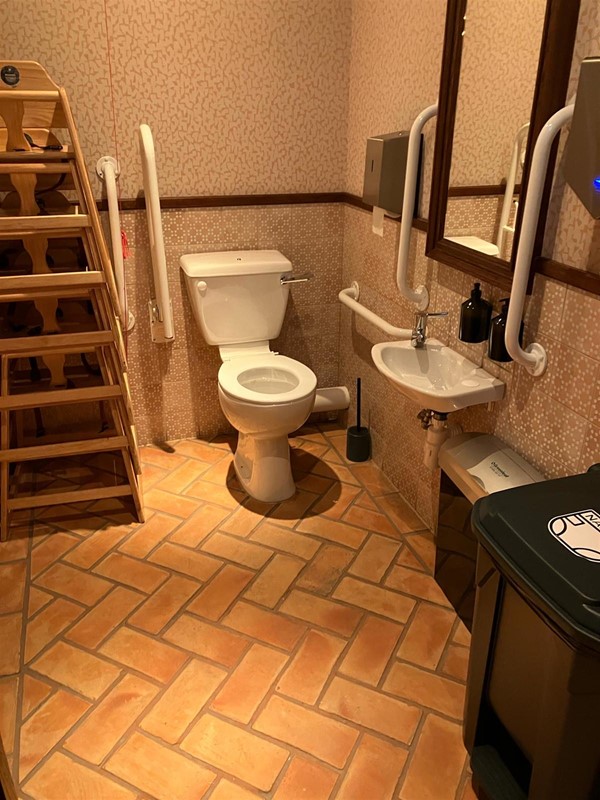 Image of an accessible toilet
