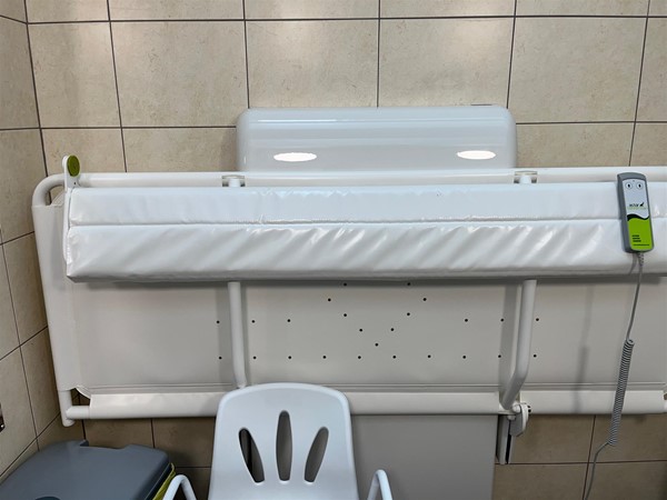 Image of a changing bed