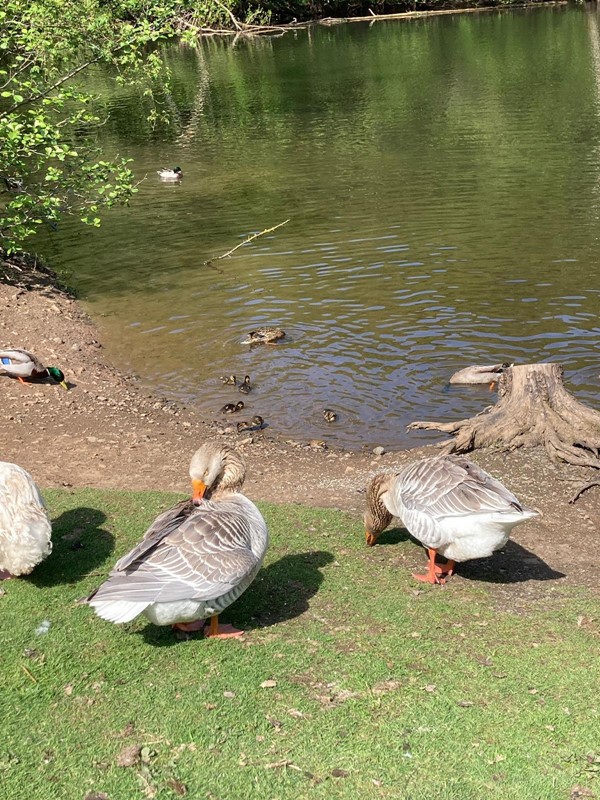 Some of the wildlife accessible on footpaths