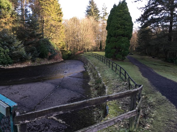 Woodland paths and trails