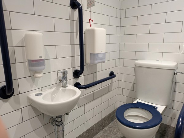 Image of accessible toilet