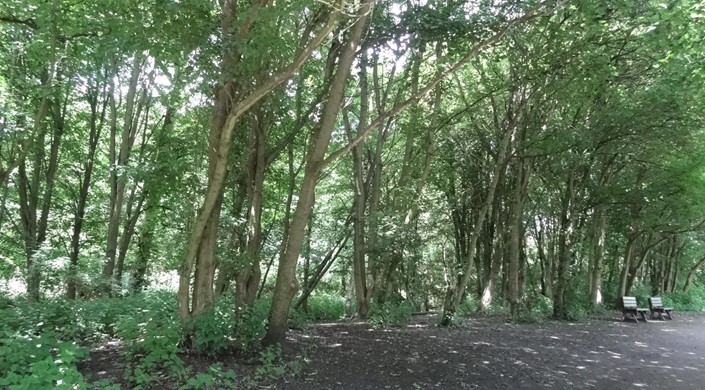 Rufford Abbey Country Park