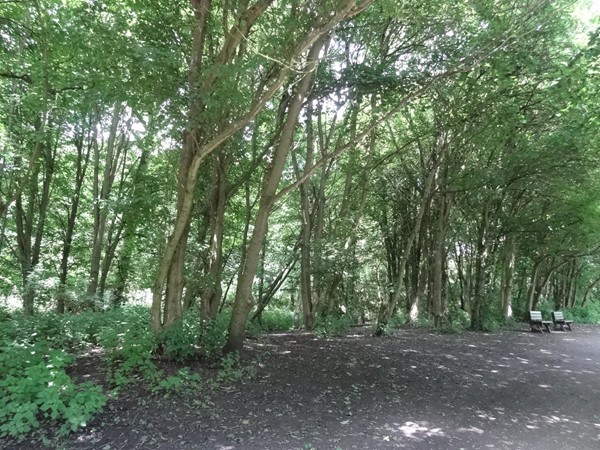 Picture of Rufford Abbey Country Park
